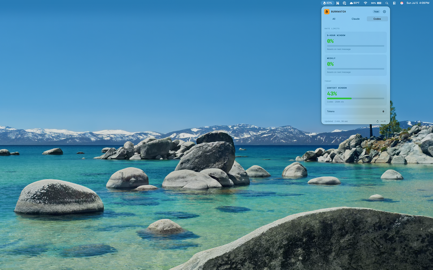 BurnWatch screenshot 3